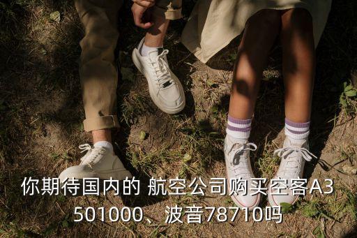 你期待國內的 航空公司購買空客A3501000、波音78710嗎