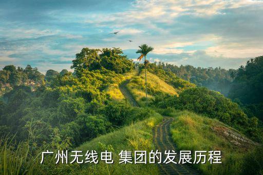 海格通信產(chǎn)業(yè)集團(tuán),廣州海格通信集團(tuán)屬于國(guó)企嗎
