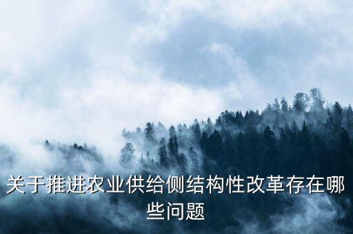 關于推進農業(yè)供給側結構性改革存在哪些問題