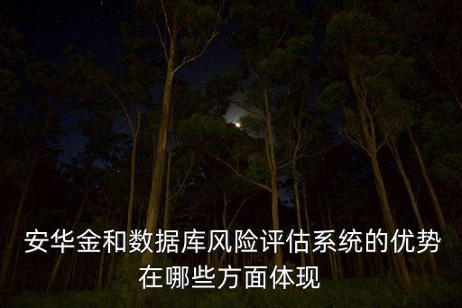  安華金和數(shù)據(jù)庫風(fēng)險(xiǎn)評(píng)估系統(tǒng)的優(yōu)勢(shì)在哪些方面體現(xiàn)