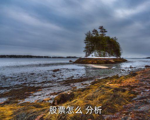  股票怎么 分析