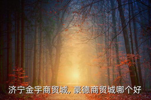 濟寧金宇商貿(mào)城, 豪德商貿(mào)城哪個好