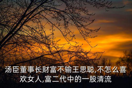 湯臣董事長財(cái)富不輸王思聰,不怎么喜歡女人,富二代中的一股清流