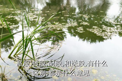  派股,轉股,配股,和送股,有什么區(qū)別,都是什么意思