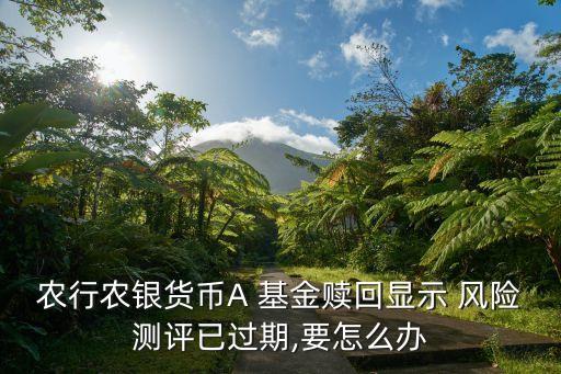 農(nóng)行農(nóng)銀貨幣A 基金贖回顯示 風(fēng)險(xiǎn)測(cè)評(píng)已過(guò)期,要怎么辦