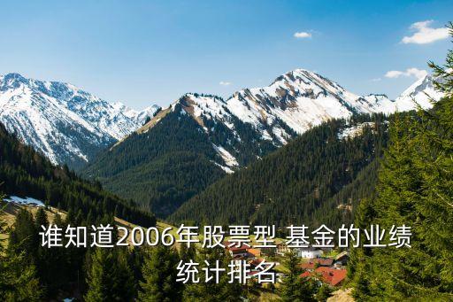誰知道2006年股票型 基金的業(yè)績統(tǒng)計(jì)排名