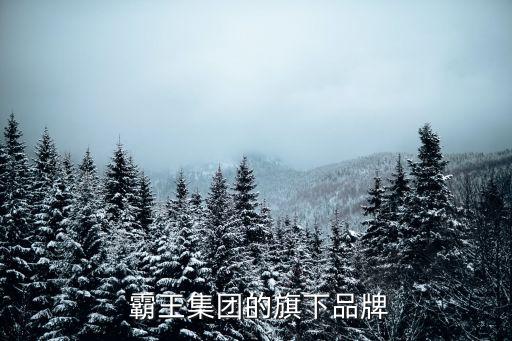  霸王集團的旗下品牌