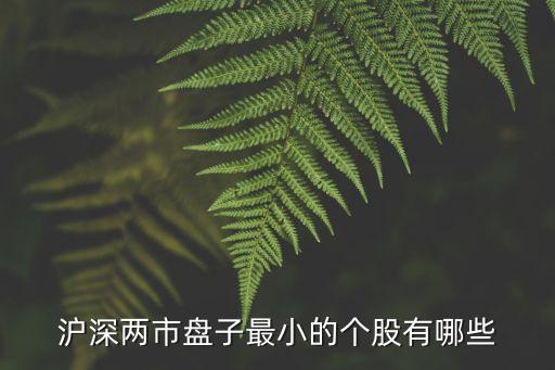 滬深兩市盤(pán)子最小的個(gè)股有哪些