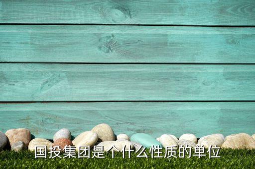 國投集團是個什么性質的單位