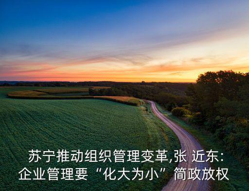  蘇寧推動組織管理變革,張 近東:企業(yè)管理要“化大為小”簡政放權(quán)