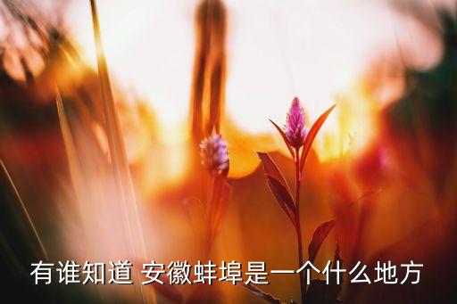 有誰知道 安徽蚌埠是一個(gè)什么地方