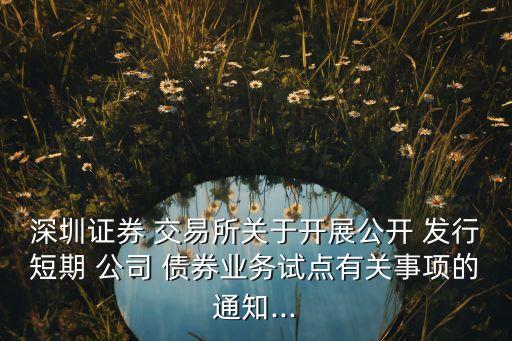 深圳證券 交易所關(guān)于開(kāi)展公開(kāi) 發(fā)行短期 公司 債券業(yè)務(wù)試點(diǎn)有關(guān)事項(xiàng)的通知...