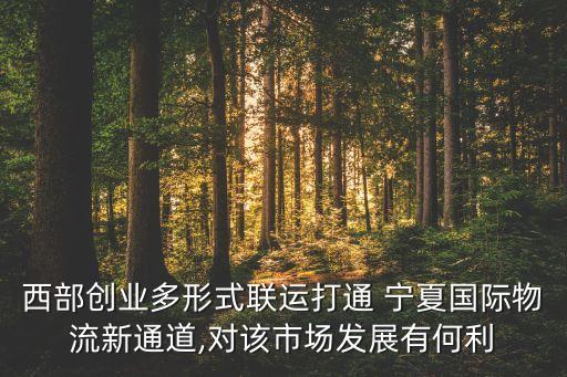 西部創(chuàng)業(yè)多形式聯(lián)運(yùn)打通 寧夏國際物流新通道,對(duì)該市場(chǎng)發(fā)展有何利
