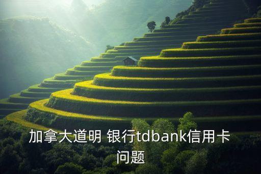 貸款發(fā)放機(jī)構(gòu)TD是哪個銀行