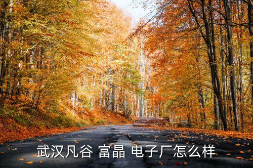 鄂州富晶電子技術有限公司地址,武漢富晶電子技術有限公司