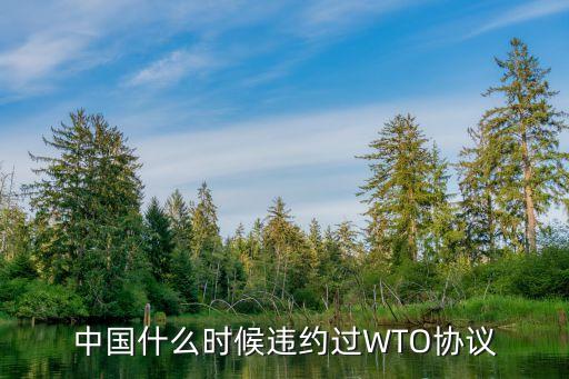 中國(guó)什么時(shí)候違約過WTO協(xié)議