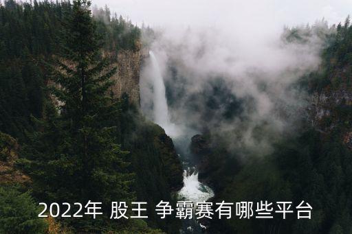 2022年 股王 爭(zhēng)霸賽有哪些平臺(tái)