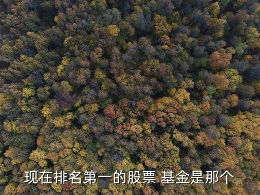 現(xiàn)在排名第一的股票 基金是那個