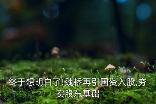 終于想明白了!魏橋再引國資入股,夯實(shí)股東基礎(chǔ)