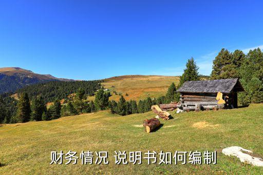 中國(guó)財(cái)務(wù)狀況說明書,財(cái)務(wù)狀況說明書是會(huì)計(jì)報(bào)表附注么