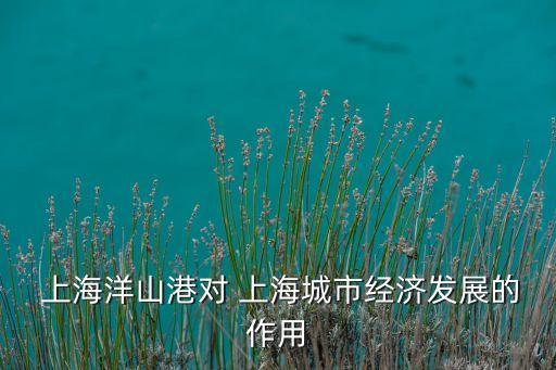  上海洋山港對 上海城市經(jīng)濟發(fā)展的作用