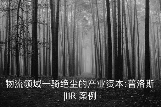 黑石集團經(jīng)典案例