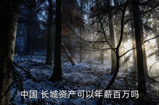 中國(guó) 長(zhǎng)城資產(chǎn)可以年薪百萬嗎
