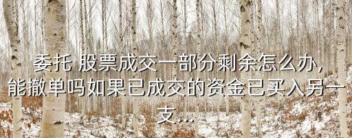  委托 股票成交一部分剩余怎么辦,能撤單嗎如果已成交的資金已買(mǎi)入另一支...