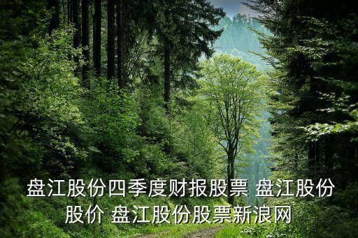  盤(pán)江股份四季度財(cái)報(bào)股票 盤(pán)江股份股價(jià) 盤(pán)江股份股票新浪網(wǎng)