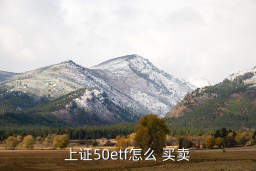 股票型基金如何買賣,股票和基金買賣時間
