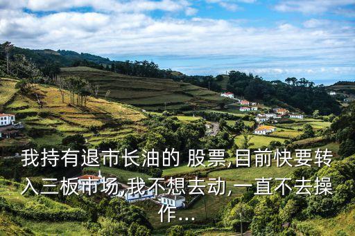 我持有退市長油的 股票,目前快要轉(zhuǎn)入三板市場(chǎng),我不想去動(dòng),一直不去操作...
