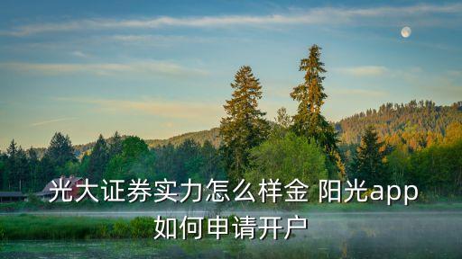  光大證券實(shí)力怎么樣金 陽(yáng)光app如何申請(qǐng)開(kāi)戶