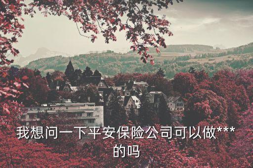 我想問一下平安保險公司可以做***的嗎