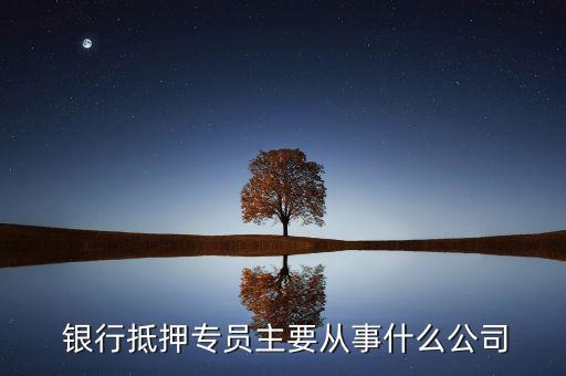  銀行抵押專(zhuān)員主要從事什么公司