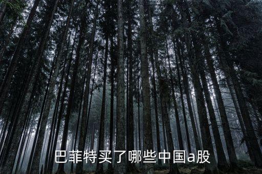  巴菲特買了哪些中國(guó)a股