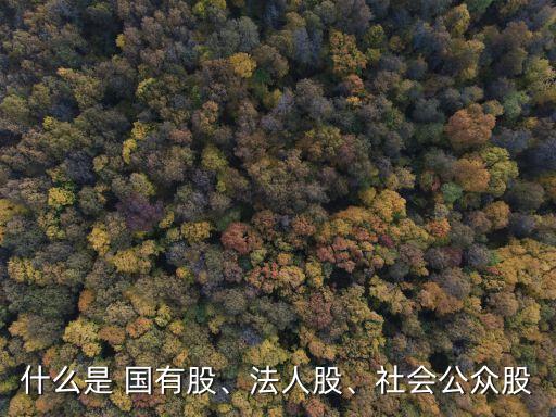 什么是 國有股、法人股、社會公眾股