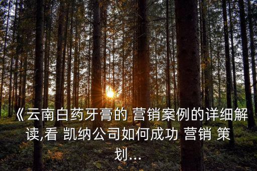 《云南白藥牙膏的 營銷案例的詳細解讀,看 凱納公司如何成功 營銷 策劃...