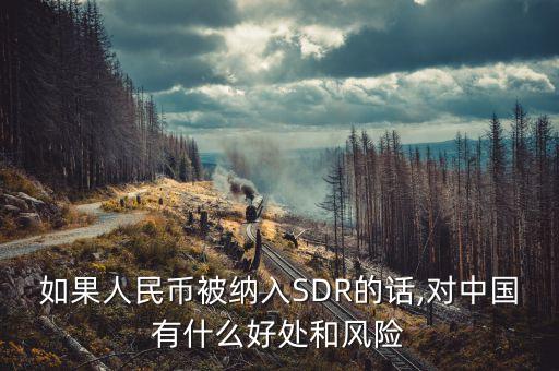 如果人民幣被納入SDR的話,對中國有什么好處和風險
