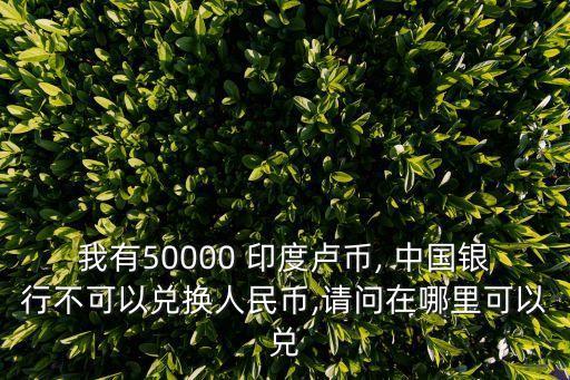 我有50000 印度盧幣, 中國(guó)銀行不可以兌換人民幣,請(qǐng)問(wèn)在哪里可以兌
