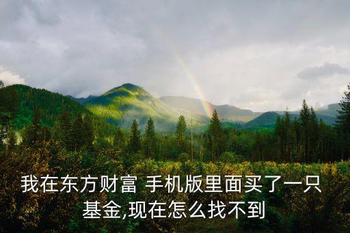 我在東方財富 手機版里面買了一只 基金,現(xiàn)在怎么找不到