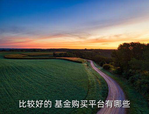 比較好的 基金購買平臺(tái)有哪些