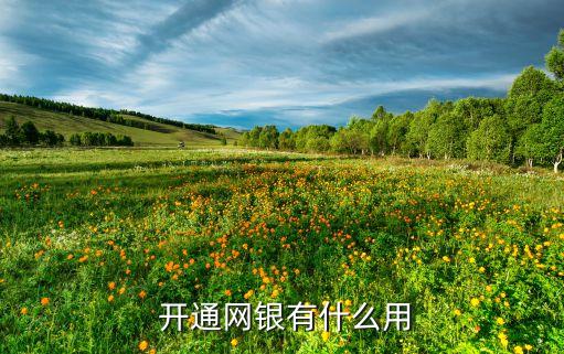  開(kāi)通網(wǎng)銀有什么用