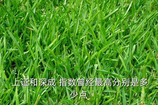 上證指數(shù)中國網