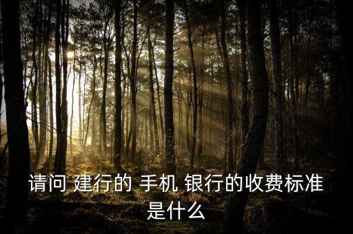 請(qǐng)問 建行的 手機(jī) 銀行的收費(fèi)標(biāo)準(zhǔn)是什么