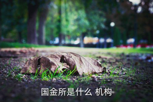 國金所是什么 機構(gòu)