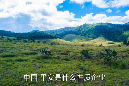 中國 平安是什么性質(zhì)企業(yè)