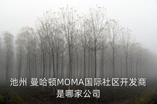 池州 曼哈頓MOMA國(guó)際社區(qū)開發(fā)商是哪家公司