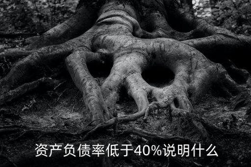  資產負債率低于40%說明什么