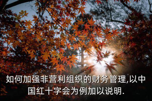 如何加強非營利組織的財務(wù)管理,以中國紅十字會為例加以說明.