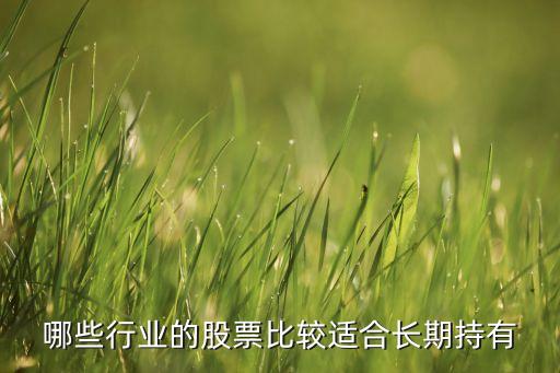 哪些行業(yè)的股票比較適合長(zhǎng)期持有